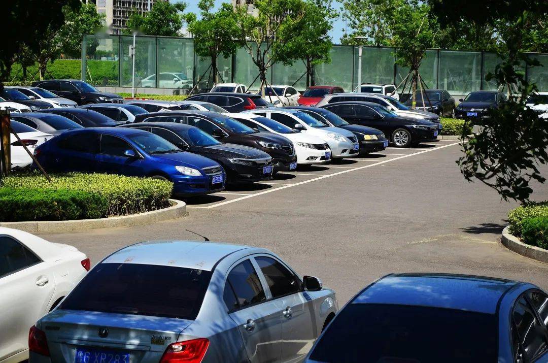 擁擠的停車場與住宿體驗 一場現代都市的無奈交響曲