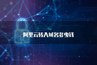 域名轉(zhuǎn)入費用解析 互聯(lián)網(wǎng)域名注冊服務價格指南