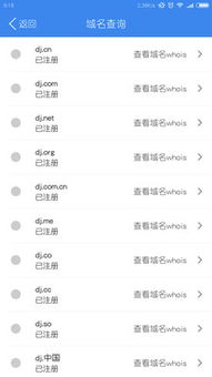點擊網(wǎng)絡(luò) 解析互聯(lián)網(wǎng)域名注冊服務(wù)的價值與未來